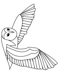 Flying owl Coloring Page | 1001coloring.com