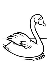 Two swans Coloring Page | 1001coloring.com