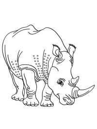 Simple rhino Coloring Page | 1001coloring.com