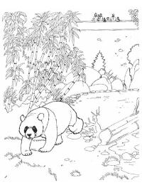 Panda unicorn Coloring Page | 1001coloring.com