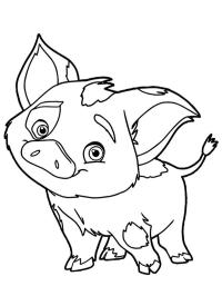 Maui And Moana Coloring Page 1001coloring Com