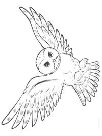 Owl Sitting On A Branch Coloring Page 1001coloring Com Owl Sitting On A Branch Coloring Page 1001coloring Com