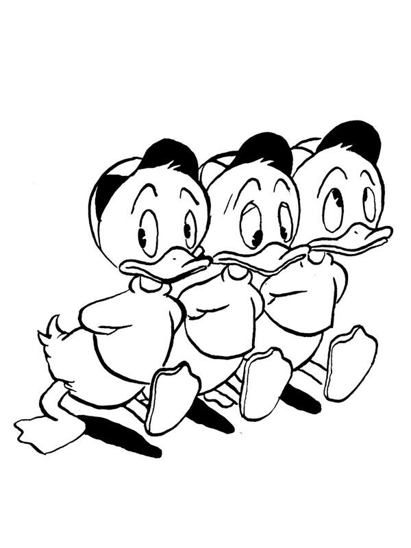 coloring page Huey, Dewey, and Louie coloring page Huey, Dewey, and Louie