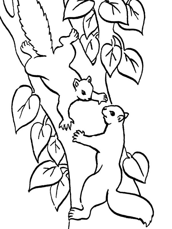 coloring page Squirrels jumping of a tree coloring page Squirrels jumping of a tree