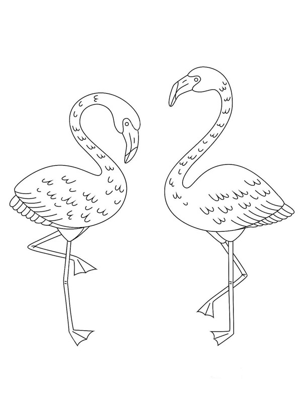 63 Ausmalbild Flamingo Malvorlagen für Kinder zum Ausdrucken