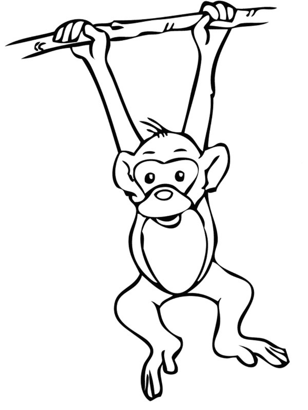 coloring page Monkey hanging of a branch coloring page Monkey hanging of a branch