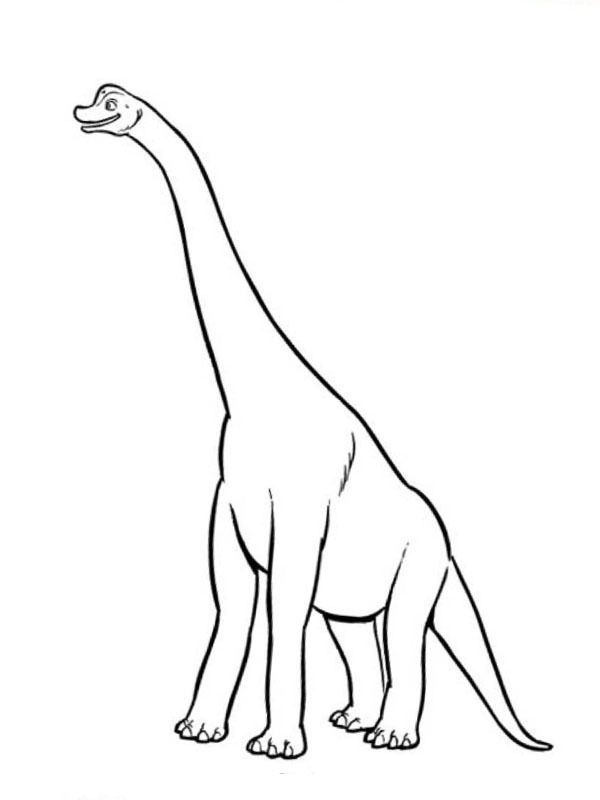 Brachiosaurus Coloring Page 1001coloring Com