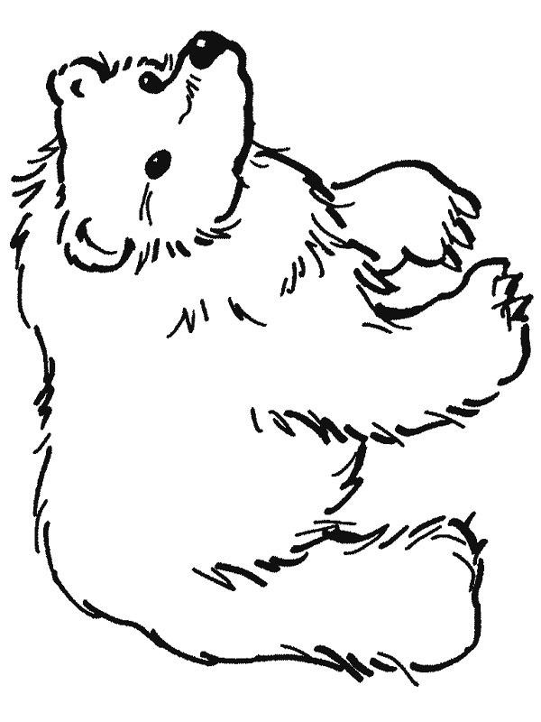 Brown Bear Coloring Page 1001coloring Com