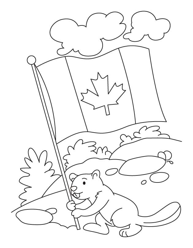 coloring page Beaver holds Canadian flag coloring page Beaver holds Canadian flag