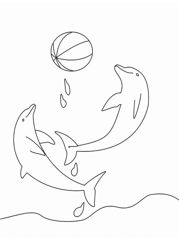 coloring page dolphines playing with a ball coloring page dolphines playing with a ball