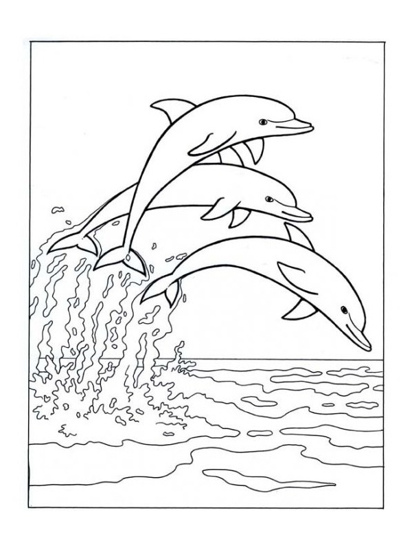 coloring page Dolphins jumping at sea coloring page Dolphins jumping at sea