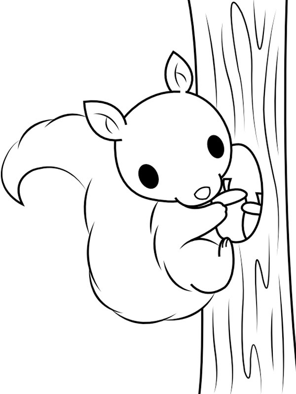 coloring page Squirrel climbing a tree coloring page Squirrel climbing a tree