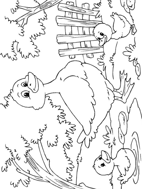 coloring page Ducklings with mother duck coloring page Ducklings with mother duck