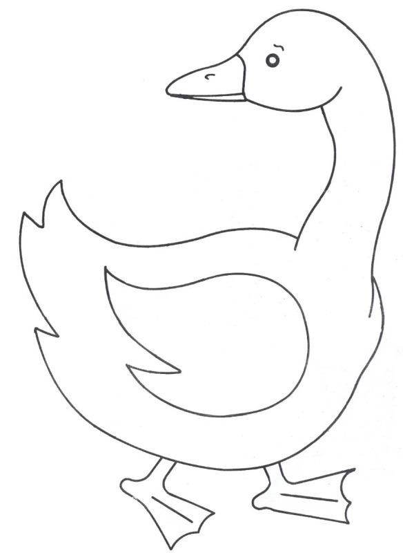 Geese Coloring Page 1001coloring Com