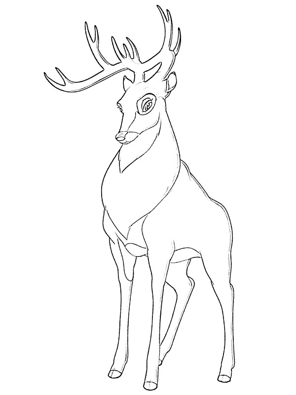 coloring page The Great Prince (bambi) coloring page The Great Prince (bambi)