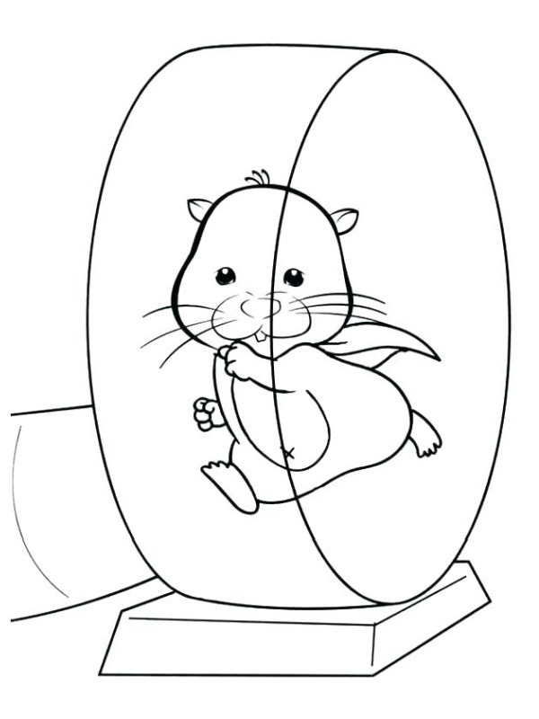 coloring page Hamster Plays Its Toy coloring page Hamster Plays Its Toy