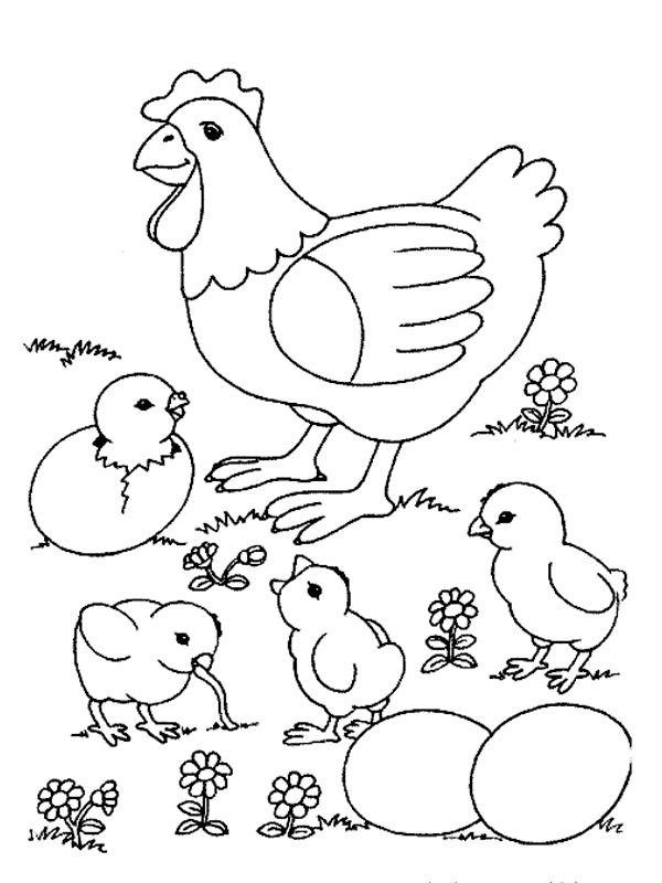coloring page Chicken and born chicks coloring page Chicken and born chicks