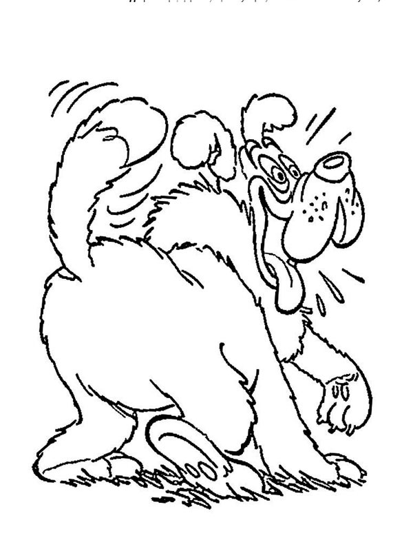 coloring page St. Bernard dog Bolivar coloring page St. Bernard dog Bolivar