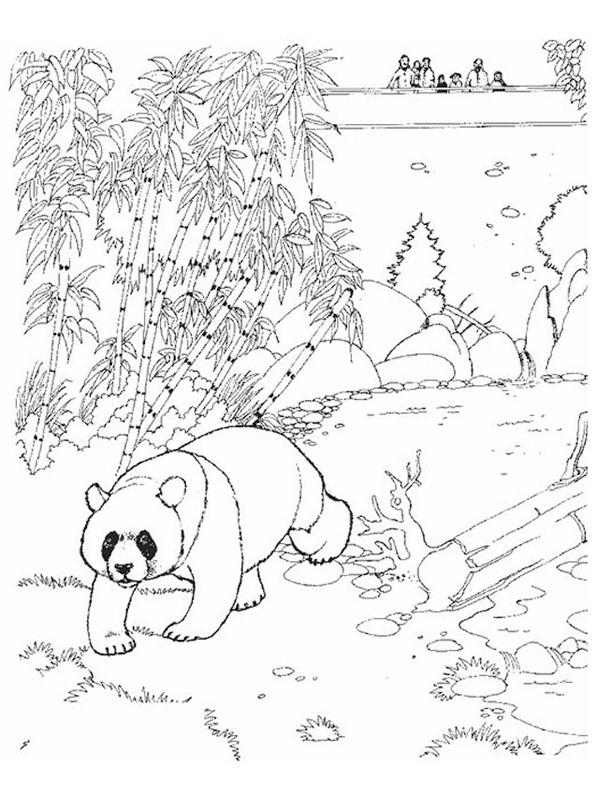 coloring page Pandabear in the zoo coloring page Pandabear in the zoo