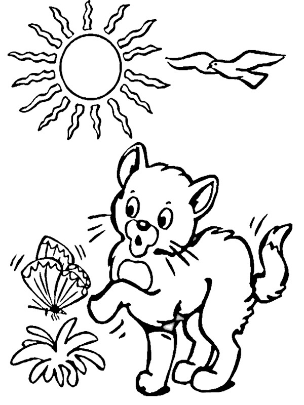 coloring page Kitten plays with butterfly coloring page Kitten plays with butterfly