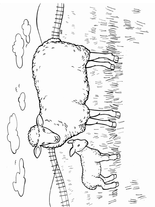 coloring page Mother sheep and lamb coloring page Mother sheep and lamb