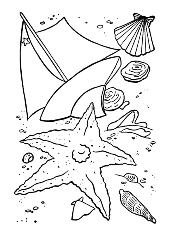 Shells Coloring Page | 1001coloring.com