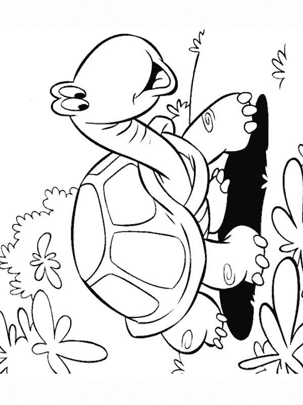 coloring page turtle goes for a walk coloring page turtle goes for a walk
