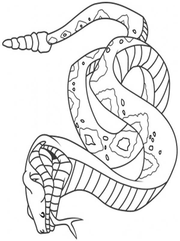 Snake Coloring Page | 1001coloring.com