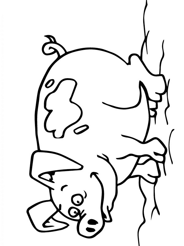 Pig Coloring Page | 1001coloring.com