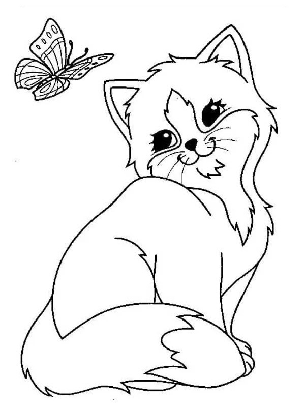 coloring page butterfly and kitten coloring page butterfly and kitten