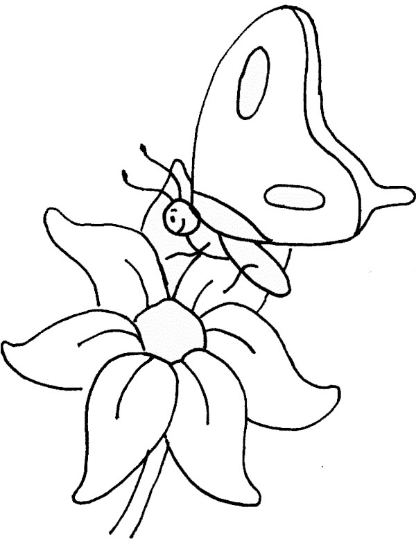 coloring page Butterfly on flower coloring page Butterfly on flower
