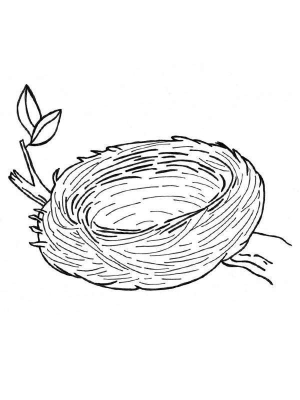Bird nest Coloring Page | 1001coloring.com